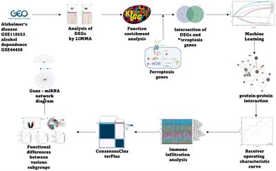 Bioinformatics analysis and prediction of Alzheimer’s disease and alcohol dependence based on Ferroptosis-related genes